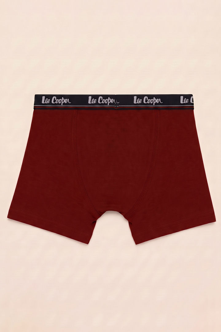 Lee Cooper Boys Long Leg Trunks (Pack of 3) - Multicolor — image 11